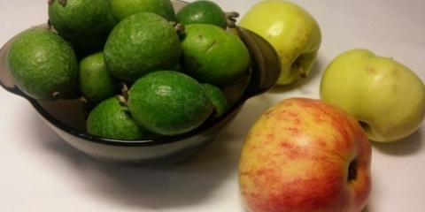 Recept za kompot od feijoe za svaki dan